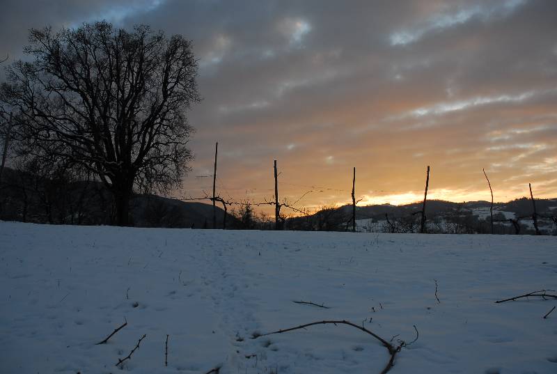 neve montalto vezzano sul crostolo